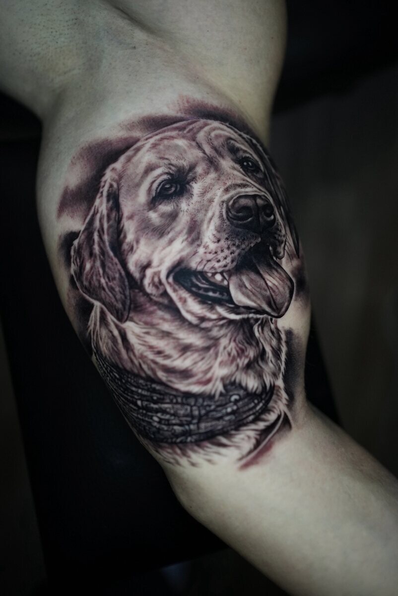 Retrato de mascota · Realismo · Piel Poética Tattoo Studio Torrevieja